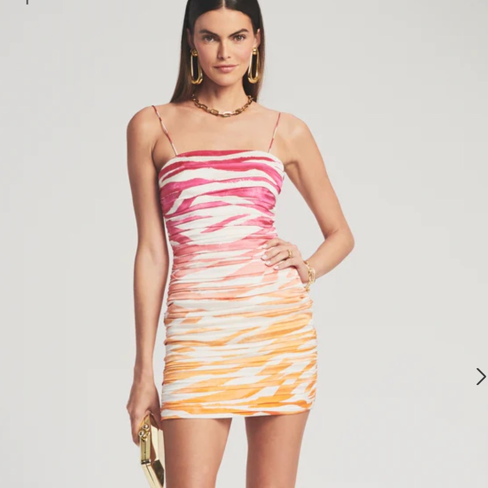 NWT RETROFETE ELSIE SILK CHIFFON DRESS